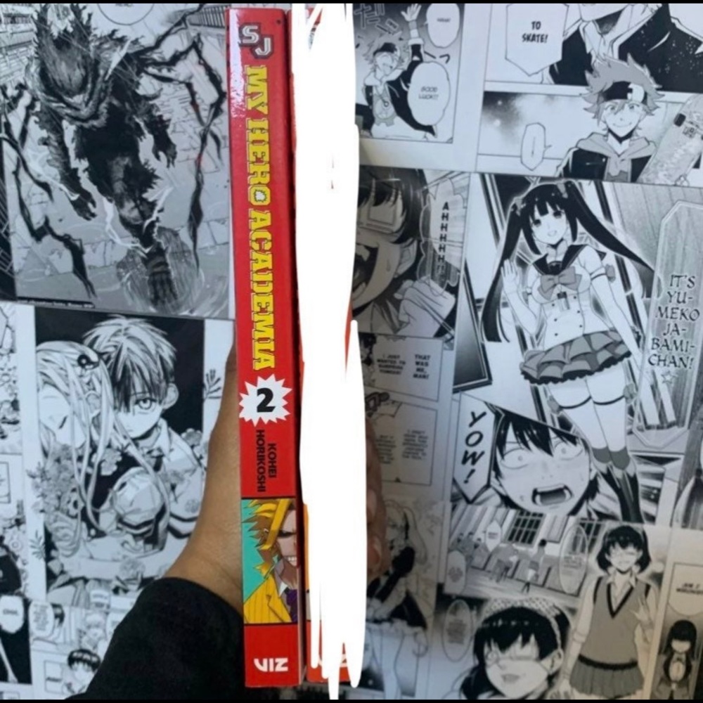 My Hero Academia Volume 2 Manga